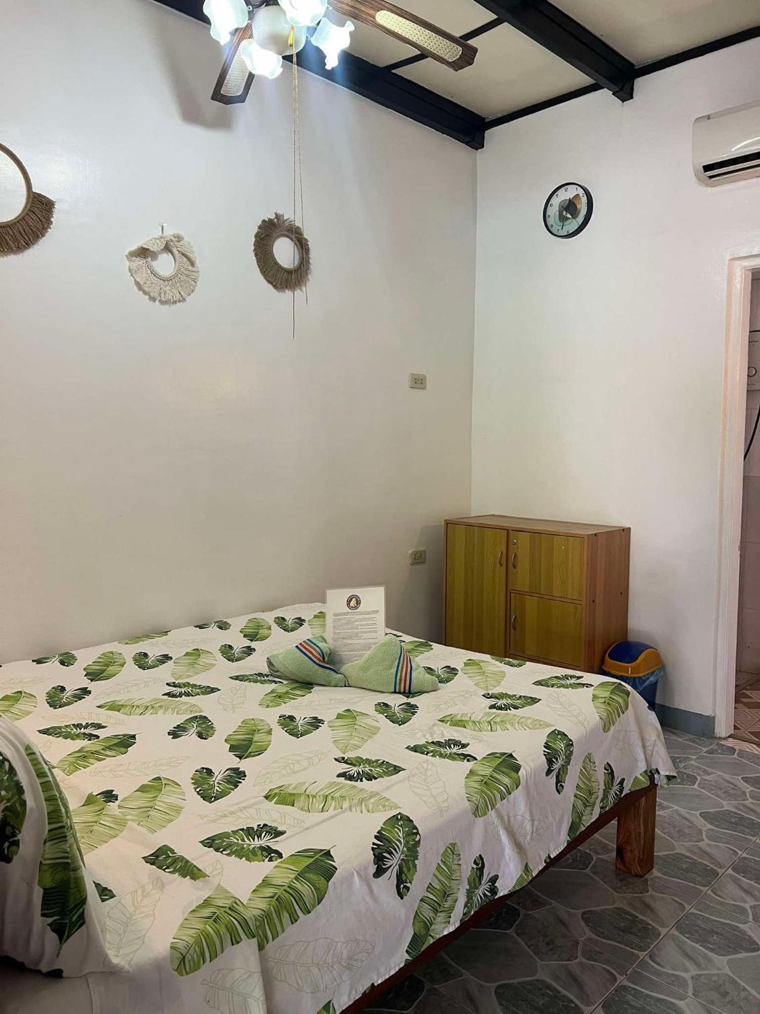 Ice Bear Bar & Tourist Inn Dauis Rom bilde